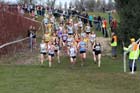 Early leaders in the Under-20 Women, McCain Inter Counties Cross Country, Cofton Park, Birmingham.
